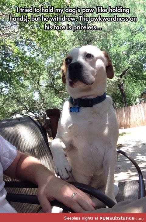 Could you not, human?