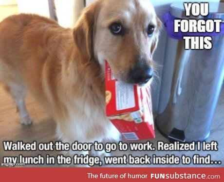 Who's a good boy?