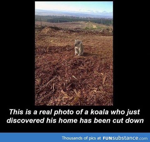 This is too sad