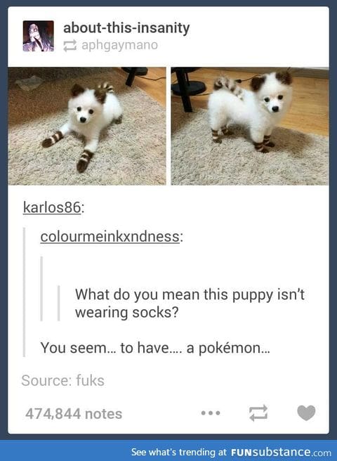 We can call him dogimon!