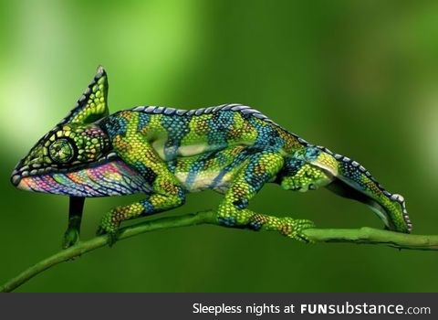 This chameleon is actually two painted women