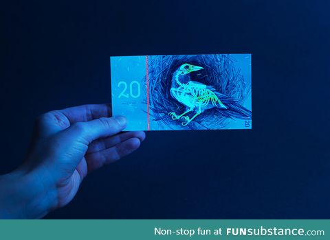 Glow-in-the-dark Hungarian banknote concept