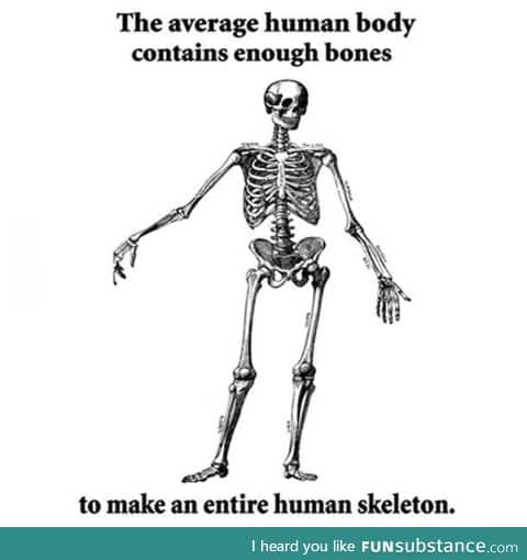 So I made this final conclusion. Where is my Nobel prize?