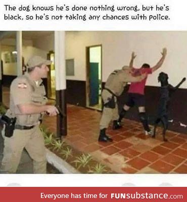 Dog isn't taking chances