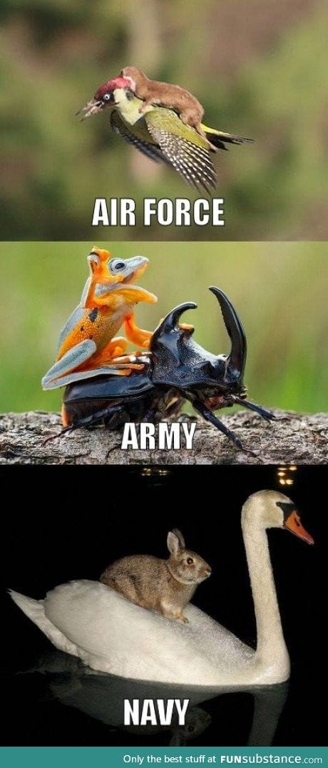 Revolution is coming