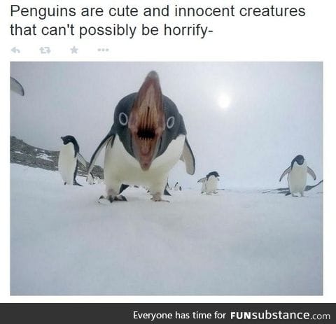 Cute animals