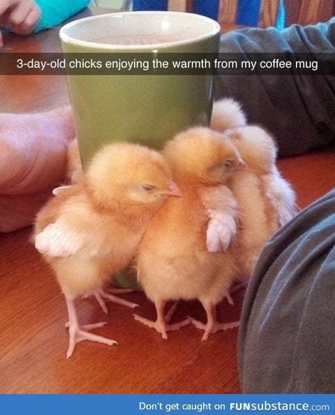 Can't compute. Cuteness overload. Somebody helllllppp.