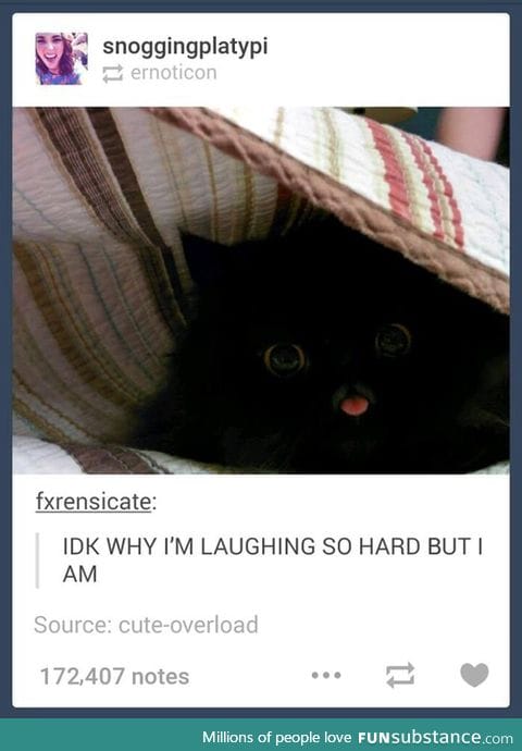 Adorable