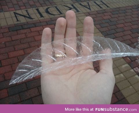 Pulled a layer of ice off a leaf