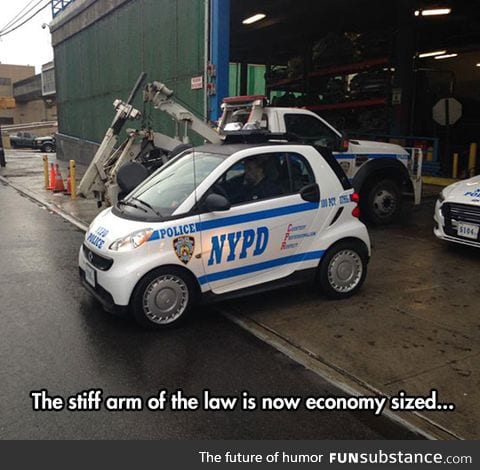 The little police