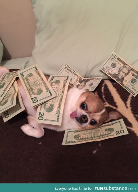 When you finally get your paycheck at the end of the week...