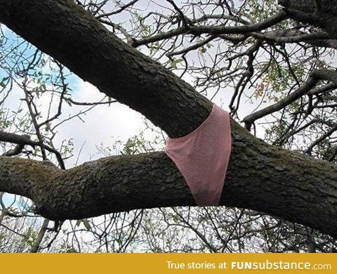 I'm just a sexy tree