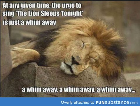 A whim away a whim away