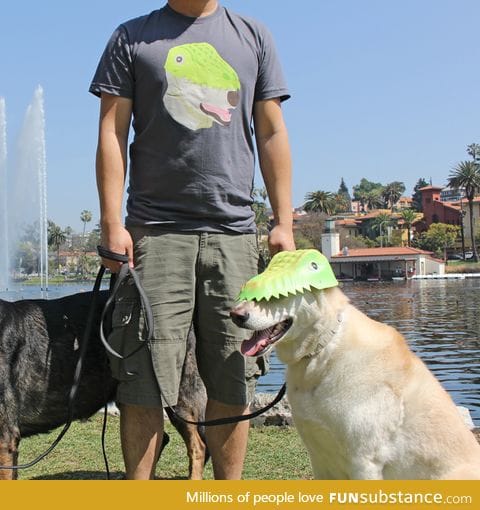 Day at the park with matching outfits