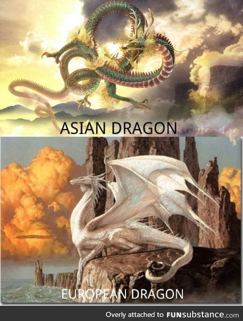 They're dragons, yet so different.