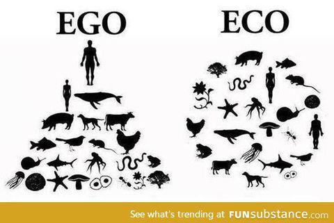 Ego vs. Eco