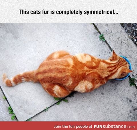 Symmetricat