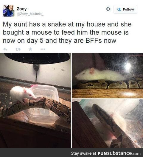 When food becomes your best friend
