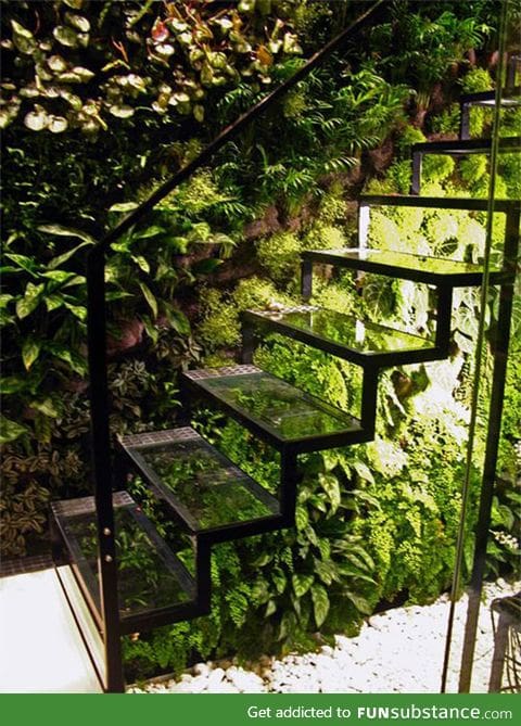 Greenhouse staircase