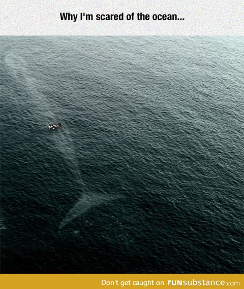 There's more than that buddy