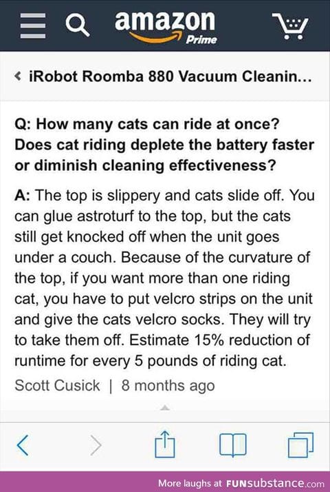 Important questions