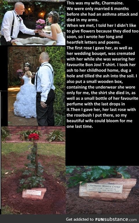 One last rose