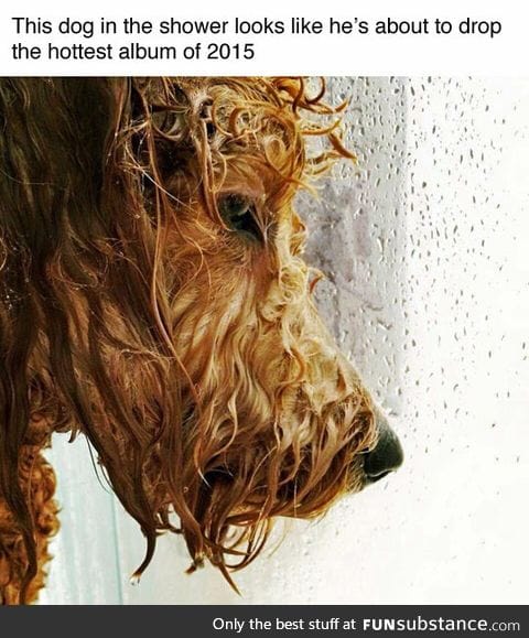 i  bet it's barking good