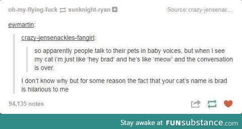 Cats