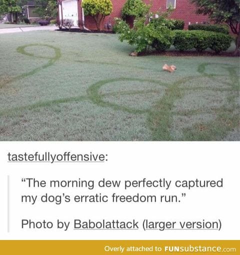 Freedom!