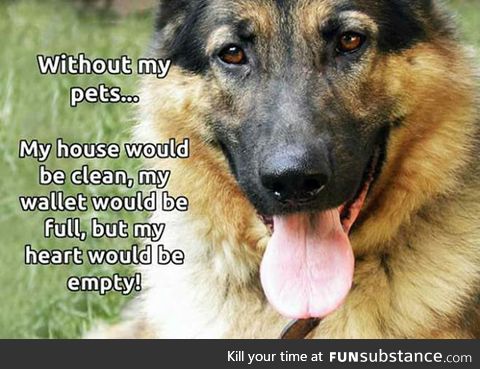 Without my pets