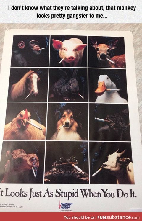 The camel looks good