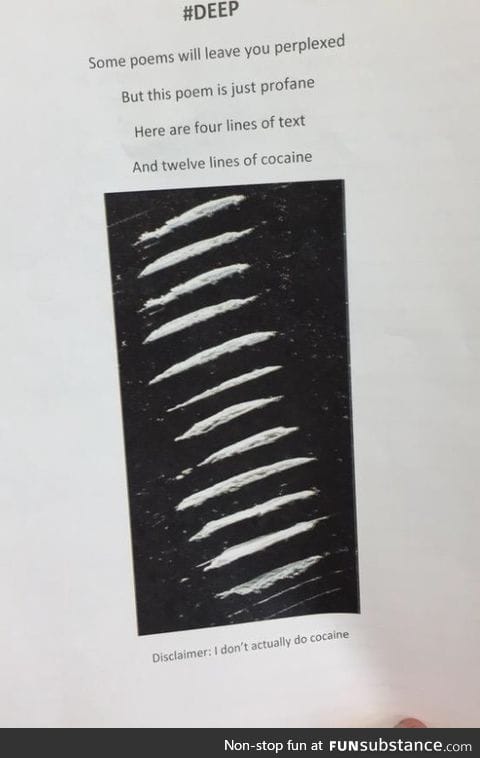 The teacher asked for a 16 line poem, this is what this kid turned in