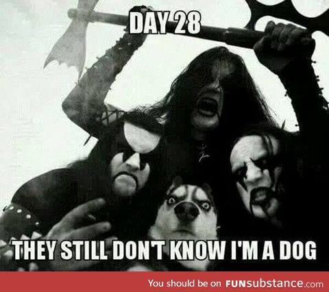 Metal Heads Don't Suspect A Thing