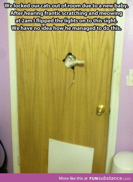 Here's Johnny!