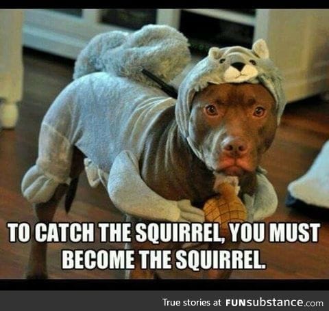 To catch the squirrel
