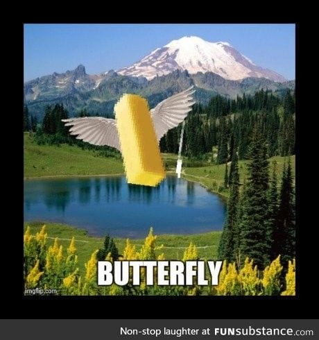 So majestic