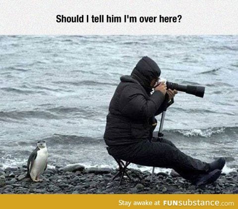 Confused photographer