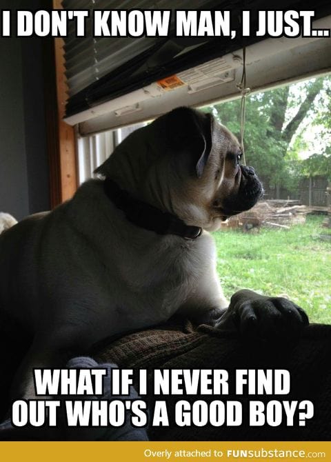 Friend on Facebook posted a picture of her dog. So I recreated an old favorite of mine
