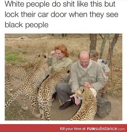 Well white people do love cats