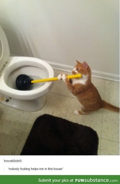 Julio, go mow the lawn!