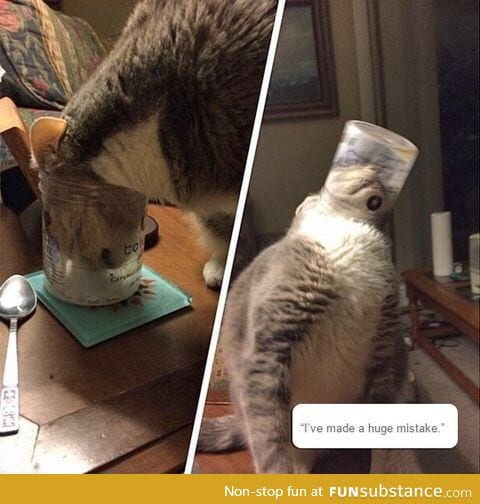 Oh, Tumblr