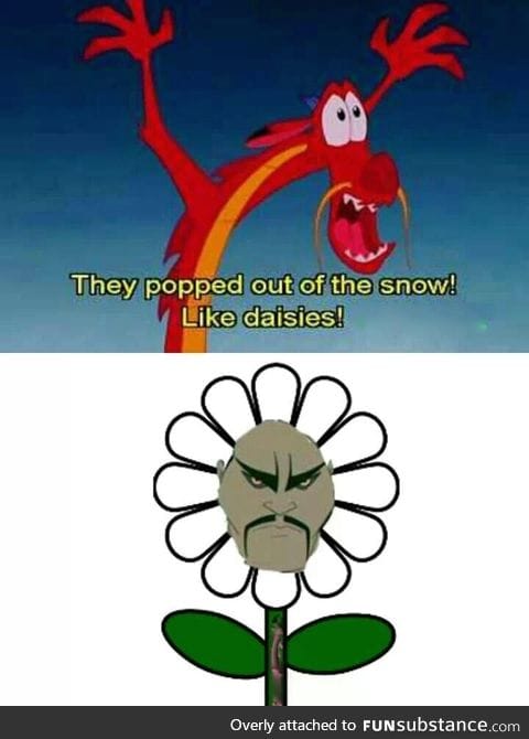 Attack, brave daisies!!!