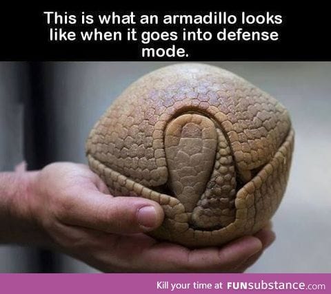 Is this epic or what?