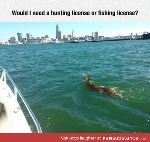 A Hunter's Dilemma