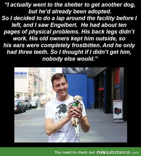 Adopt now. *tear*