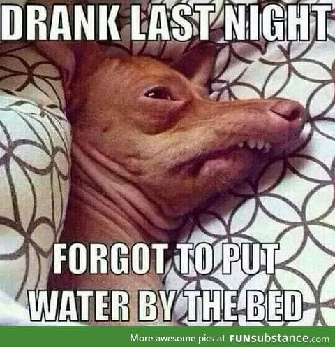 That morning cotton mouth is the worst