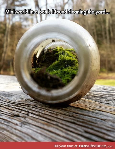 A landscape in a bottle