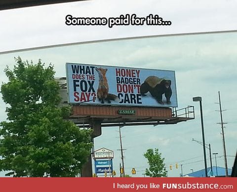 whatever they're advertising, I'm buying