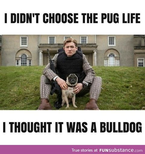 He didn't choose the pug life