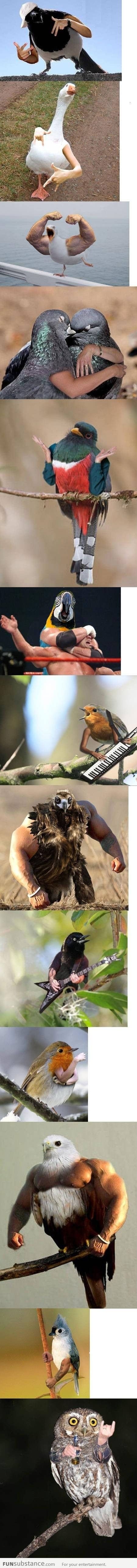 Birds with arms